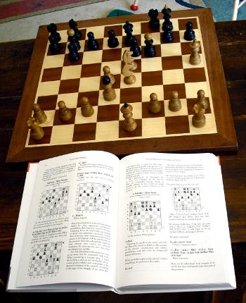 Beating the Caro-Kann (Batsford Chess Library)